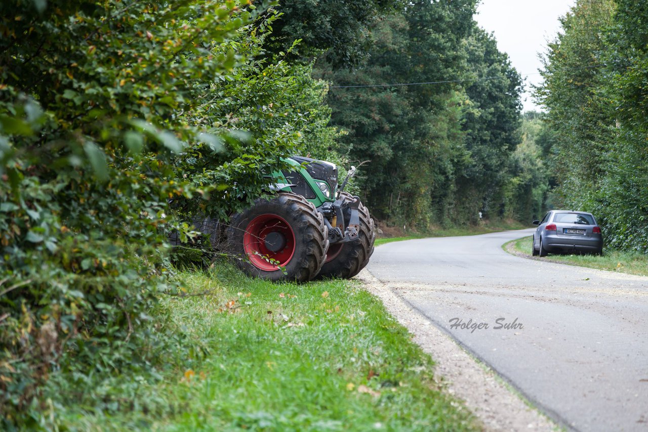 Bild 221 - Maisernte